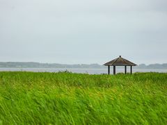 -黑龙江扎龙生态旅游区