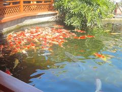 -香麒园·过桥米线·南湖雅宴