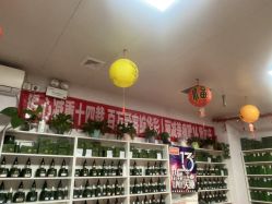 -丽减美瘦吧·减肥瘦身