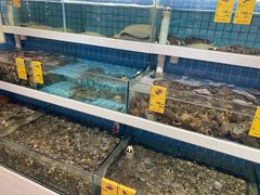 水产区-双海酒店·海鲜家常菜(南戴河店)