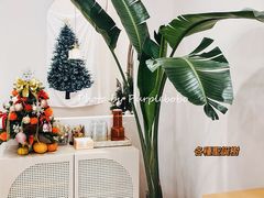 -echoes coffee回响咖啡(红山店)