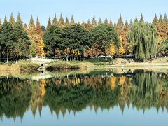 -升仙湖公园