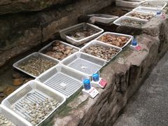-郑庄脂渣海鲜楼(九水路店)