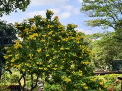 -东莞植物园