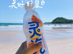 -巽寮湾
