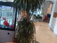 -花舍·新派粤菜·西餐·下午茶(亚运村·鸟巢店)