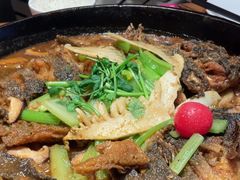 -老板恋上鱼(恒隆广场店)