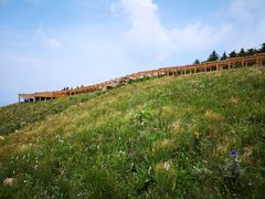 -白草畔自然风景区