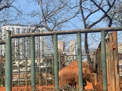 -昆明动物园