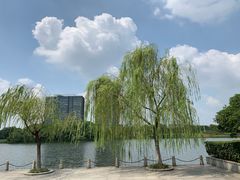 -杭州城北体育公园