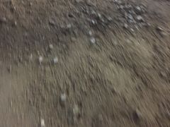 门面-勒南公舍(龙江店)