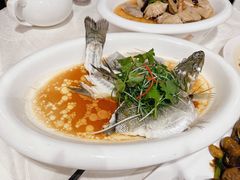 -海皇酒家(钰海万国汇购物广场店)