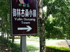-御林古桑园