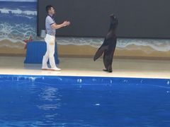 -锦艺城海洋馆