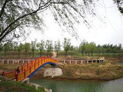 -黄河富景生态世界