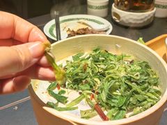 -三强鸽子(中原路店)