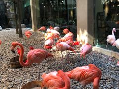 -麒麟中餐厅·经典粤菜·地道菜式老字号(广州长隆酒店)