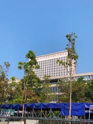 -深圳市宝安区妇幼保健院
