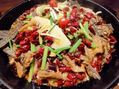 -老板恋上鱼(高新万达店)