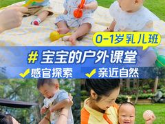 -金点蒙氏国际教育(悠然校区)