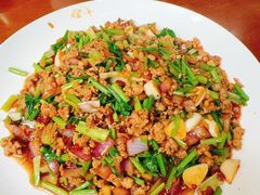 -徂徕山森林康养度假谷温泉