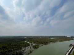 -东寨港红树林旅游区