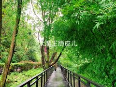 景点-阿哈湖国家湿地公园