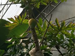 -北戴河集发农业梦想王国