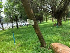 -南国桃园旅游度假区