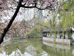 -红梅公园