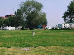 -天津武清北运河郊野公园房车露营地