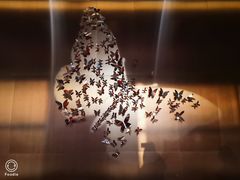 -蝴蝶里·粤菜·点心(龙湖天街&滨江店)