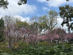 -上海醉白池公园