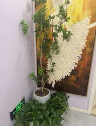 -紫琪尔胸部养护中心