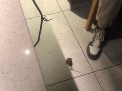 -半天妖烤鱼(丽金广场店)