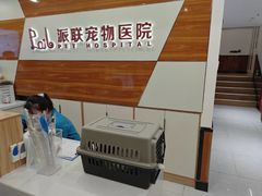 -派联宠物医院·24h·CT·异宠