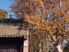 -苏州文庙(姑苏区)