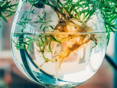 -重庆北碚万达广场