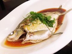 武昌鱼-亢龙太子酒轩(东湖店)