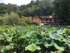 -韶山毛泽东同志故居