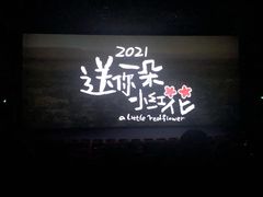 -天津美亚HeyLED影城(天津水游城店)