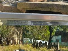 -沈阳森林动物园