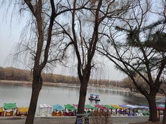 -北陵公园