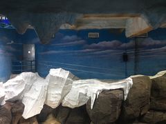 -海合安武汉极地海洋公园