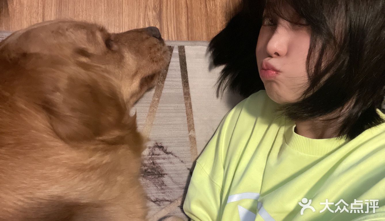 2020最后一天写给汪星人