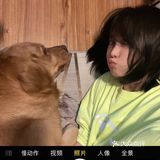 2020最后一天写给汪星人