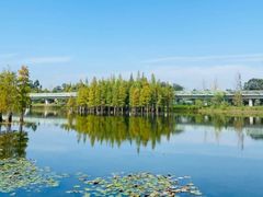 -白鹭湾湿地公园
