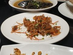 -鲨鱼醉鲜坊