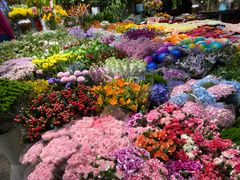 -双季花艺园艺市场(浦东店)