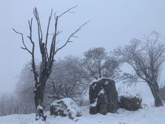 -太子岭滑雪场